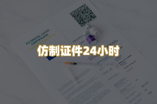 仿制证件24小时